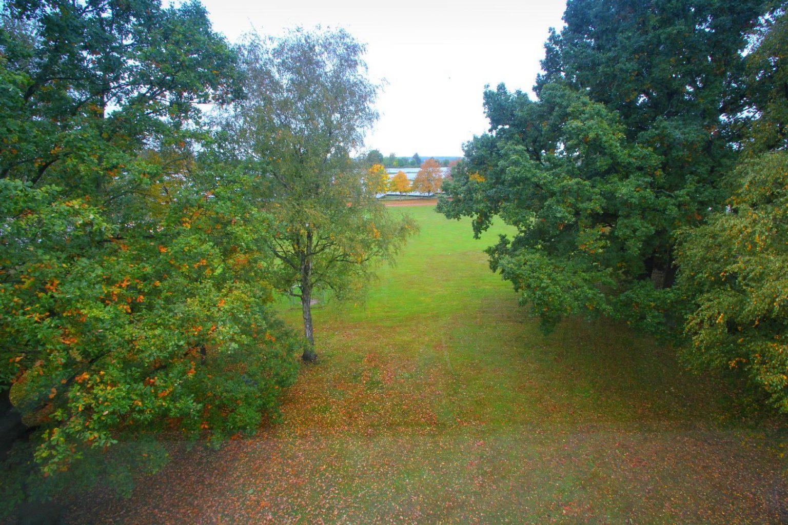 Ausblick
